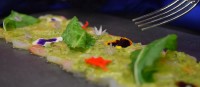 Carpaccio de camarones con dressing de rúcula y miel